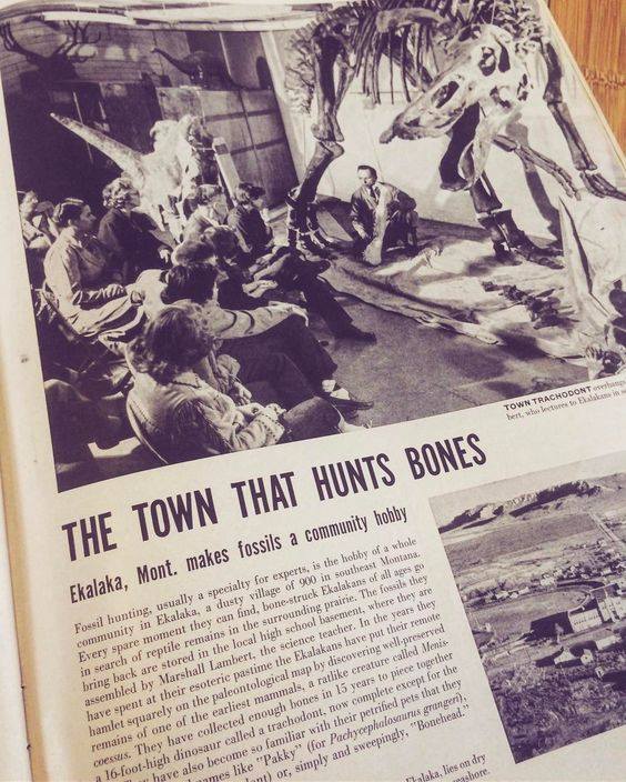 Life Magazine Article_CCM